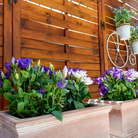 Pella - New 호텔 네오스마르마라스