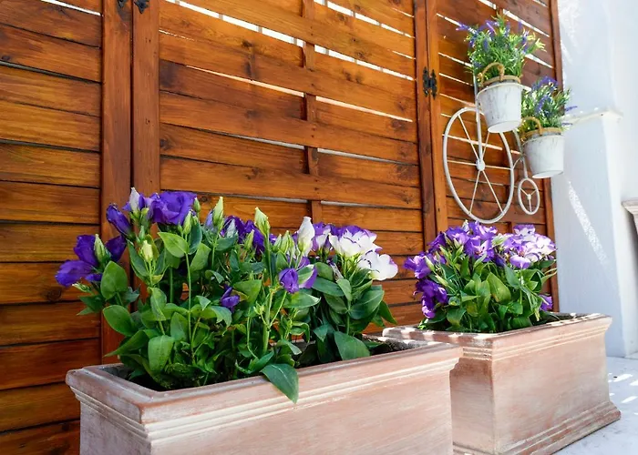 Pella - New Hotel Neos Marmaras